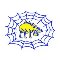 Spider - design