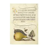 Fly, Caterpillar, Pear, and Centipede Mini Art Print - design