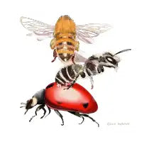 Bees and Ladybug - design