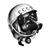 Laika - design