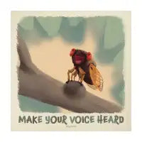 Cicada - design