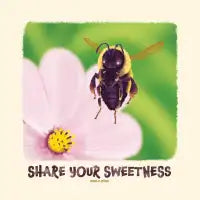 Share Your Sweetness - design