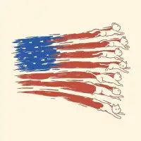 American Flag Cats by Tobe Fonseca - design