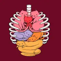 Anatomicat - design