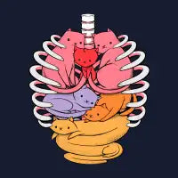 Anatomicat - design