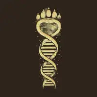 Bear DNA - design