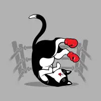 Boxer Cat - design