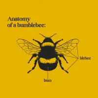 Bumblebee Anatomy by Tobe Fonseca - design