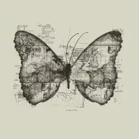 Butterfly Effect - design