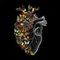 Butterfly Vintage Heart Spring - design