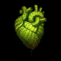 Cactus Heart - design