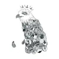 Eagle King - design