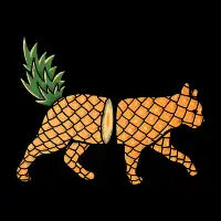 Fruit Cat: Pineapple - design