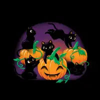 Hello Cat Halloween - design