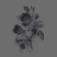 Inked - design