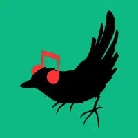 Listening To My Song - design