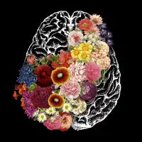 Love Your Brain - design