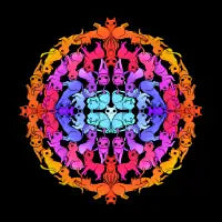 Mandala Cat - design