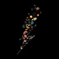 Science Thunder by Tobe Fonseca - design