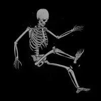 Skeleton Flowting on Space - design