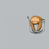 Sloth in a Pocket - design