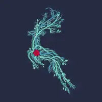 Spirit Vines T-Shirt - design