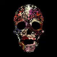 Spring Explosion Skull - design
