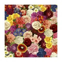 Spring Explosion - design