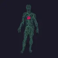 Spring Heart - design