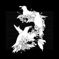 The Black Crows - design
