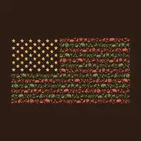 USA Camping Flag - design