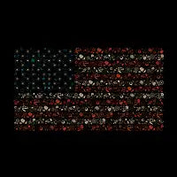 USA Flag Science - design