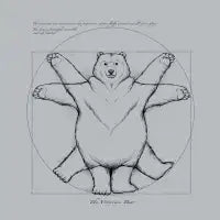 Vitruvian Bear Grey - design