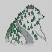 Wild Bear - design
