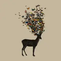 Wild Nature - design