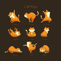 Yoga Cat - design