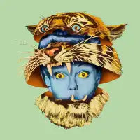 Tiger Lady - design