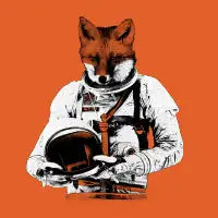 The Fastest Fox - design