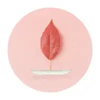 canoe - design