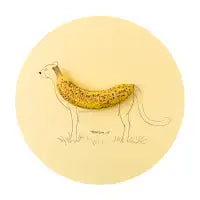 Cheetah - design