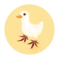 duck - design