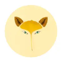 Fox - design