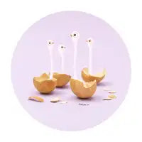 hatch - design
