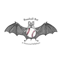 Baseball Bat - design