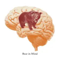 Bear in Mind - design