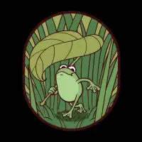 Frog Adventure - design