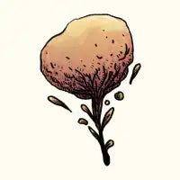 Non Existing Flowers 2 - design