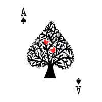 Ace - design
