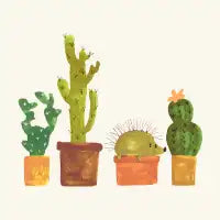 Cactus & friend - design