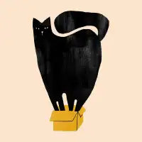 Cat and box - design